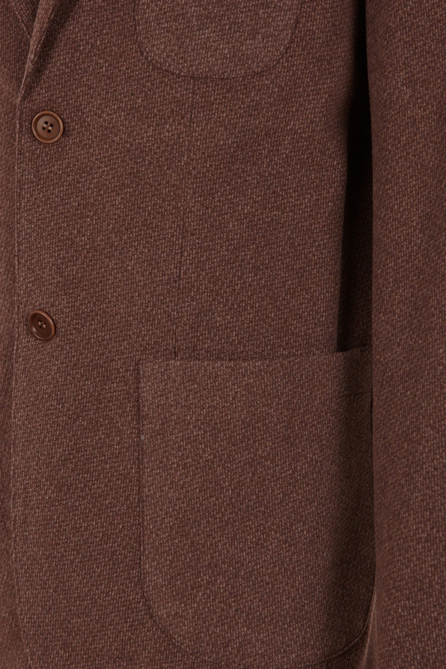Brown Tom American - Image 4