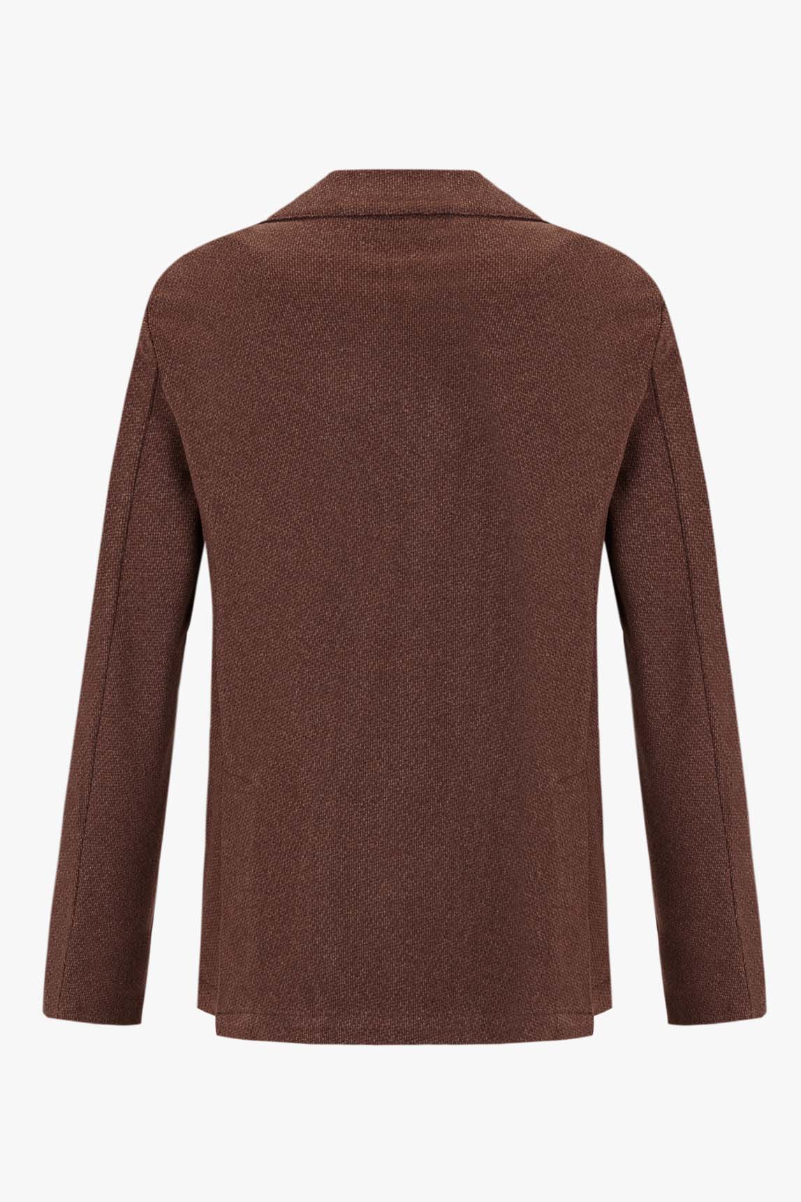 Brown Tom American - Image 5