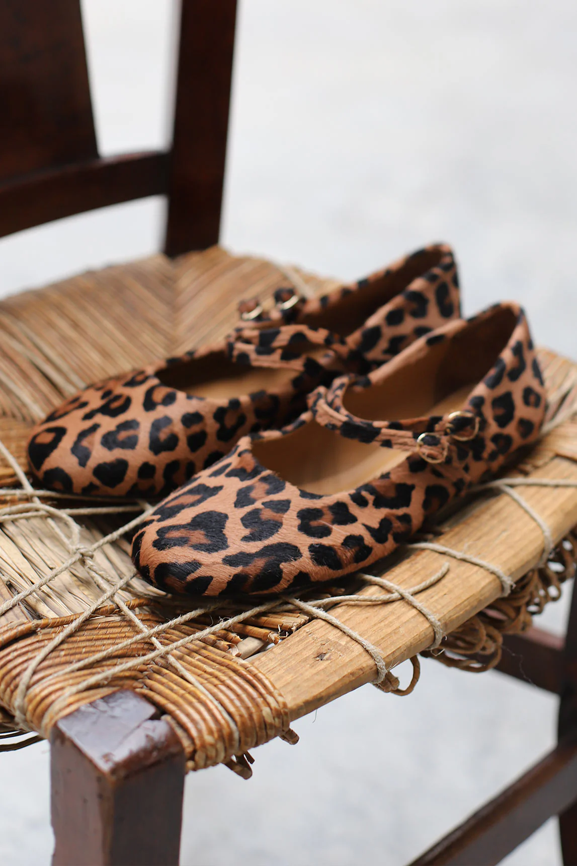 Mary Jane Maggiore animal print ballerina - Image 5